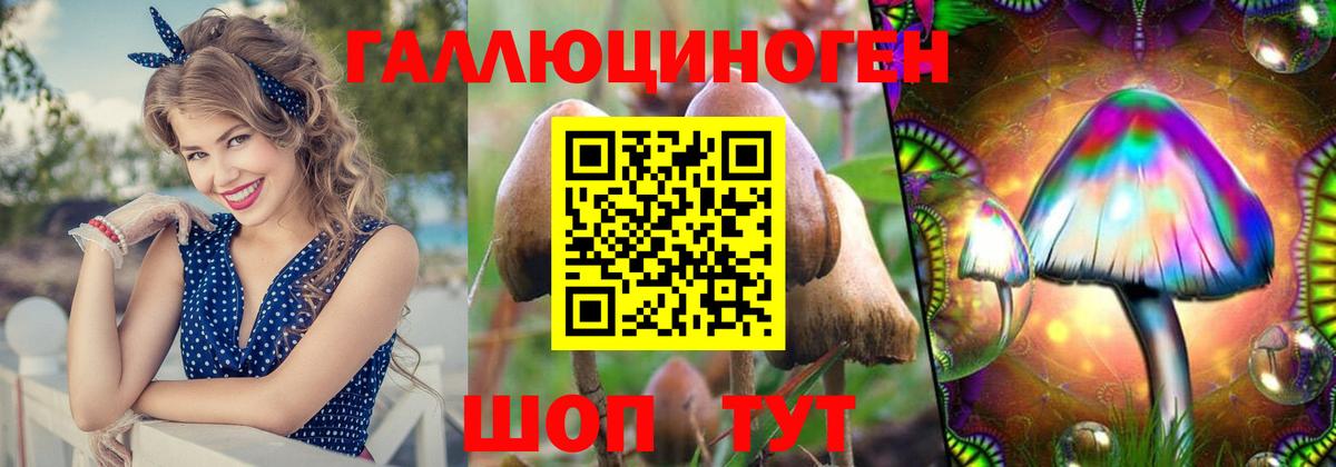 Псилоцибиновые грибы Psilocybine cubensis  Галлюциногенные грибы мицелий  Вход с VPN  Валуйки 